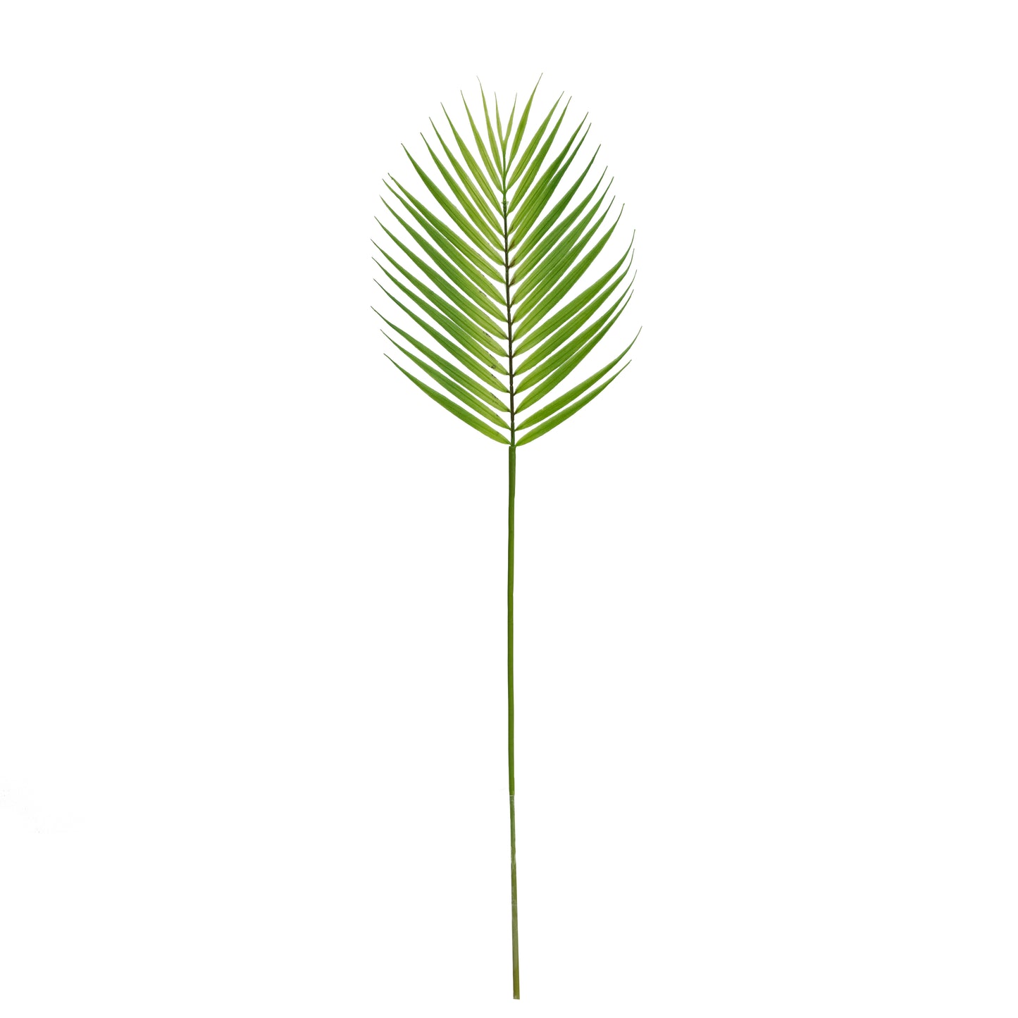 Plastic Areca Palm Leaf