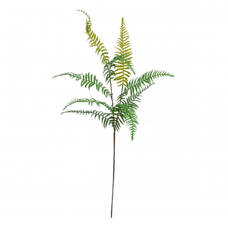 Leather Fern Spray