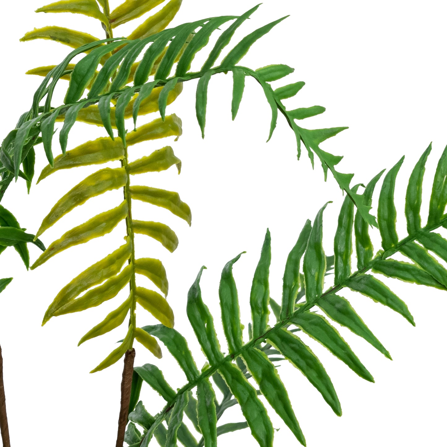 Leather Fern Spray