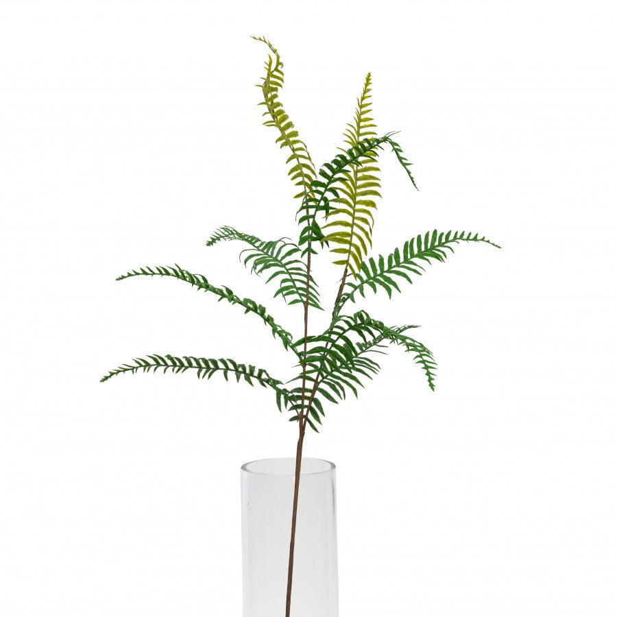 Leather Fern Spray