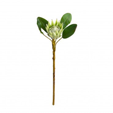 50cm Artificial Protea Green