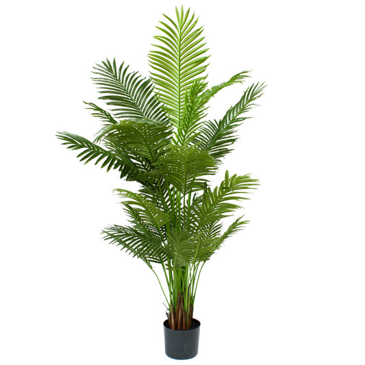 Glamorous Fusion 183cm Areca Palm Tree - Artificial Flower Arrangements and Artificial Plants