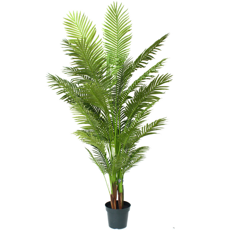 Glamorous Fusion 213cm Areca Palm Tree- Artificial Flower Arrangements and Artificial Plants