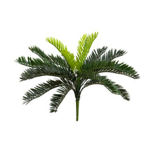 Load image into Gallery viewer, Cycads Bush
