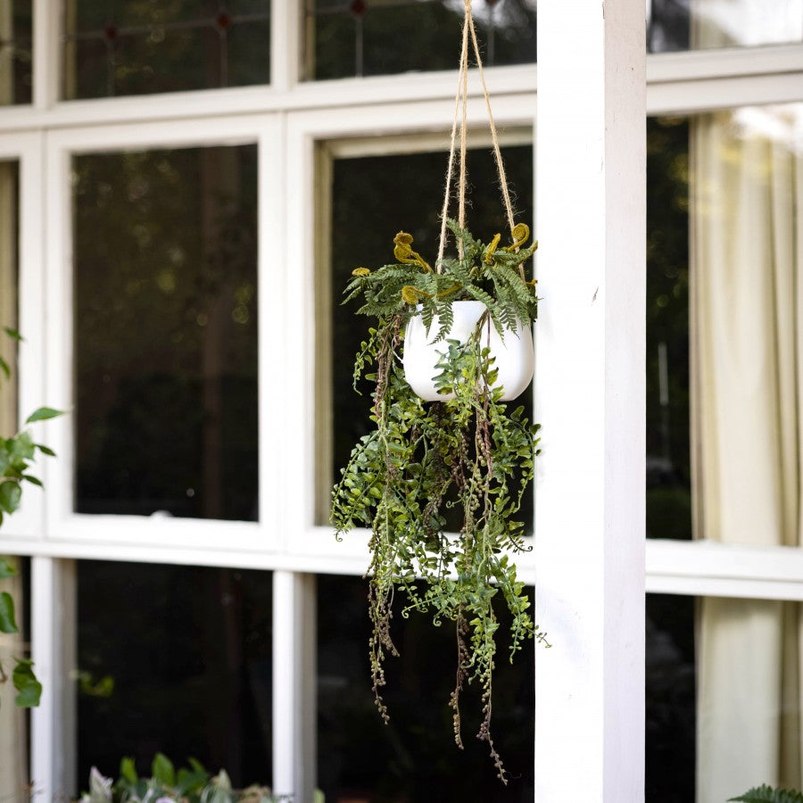 Glamorous Fusion Barker Fern in Hanging Planter - Artificial Flower Arrangements and Artificial Plants