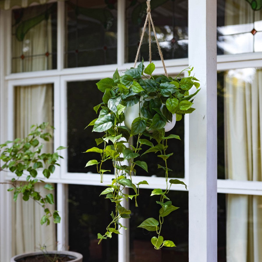 Philo Bush in Hanging Planter  - Artificial Flower Arrangements and Artificial Plants