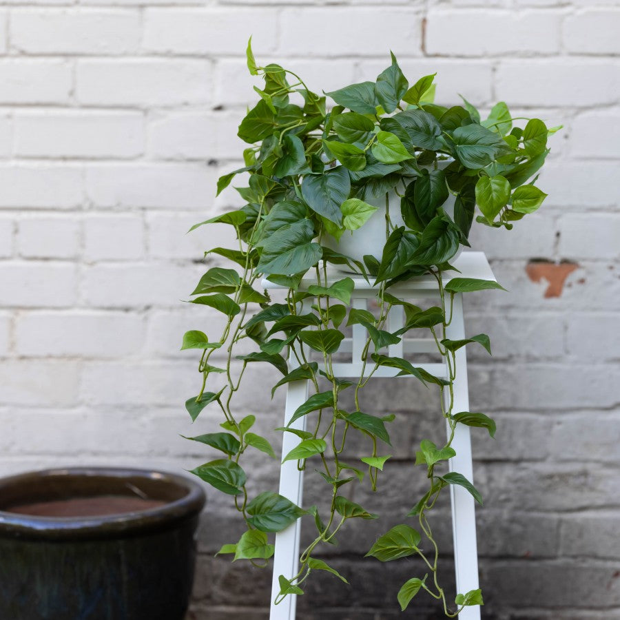 Philo Bush in Hanging Planter  - Artificial Flower Arrangements and Artificial Plants