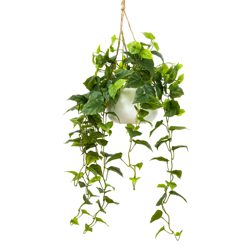 Philo Bush in Hanging Planter  - Artificial Flower Arrangements and Artificial Plants