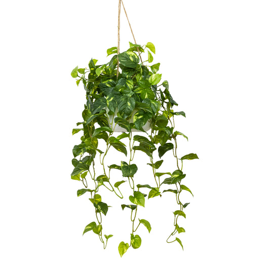 Glamorous Fusion Pothos Bush in Hanging Planter - Artificial Flower Arrangements and Artificial Plants