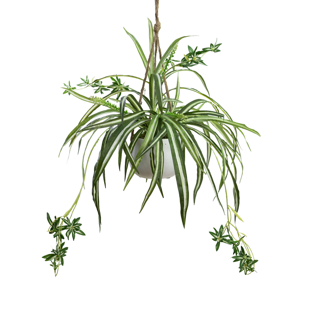 Glamorous Fusion Spider Plant in Hanging Planter - Artificial Flower Arrangements and Artificial Plants