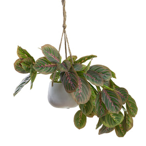 Glamorous Fusion Peacock Bush in Hanging Planter - Artificial Flower Arrangements and Artificial Plants