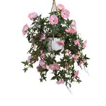 Load image into Gallery viewer, Glamorous Fusion Morning Glory in Hanging Planter - Artificial Flower Arrangements and Artificial Plants
