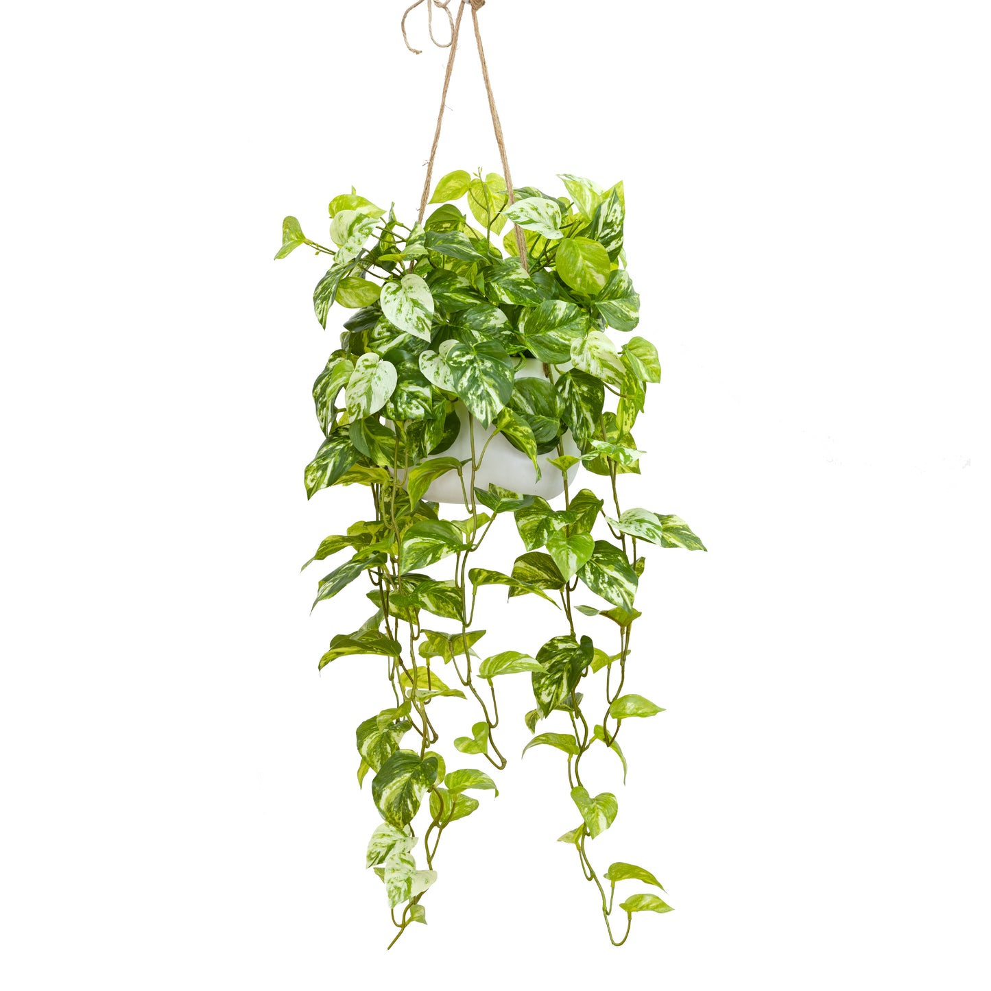 Glamorous Fusion Pothos Bush in Hanging Planter - Artificial Flower Arrangements and Artificial Plants