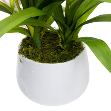 Load image into Gallery viewer, Glamorous Fusion Cymbidium in Pot - Artificial Flower Arrangements and Artificial Plants
