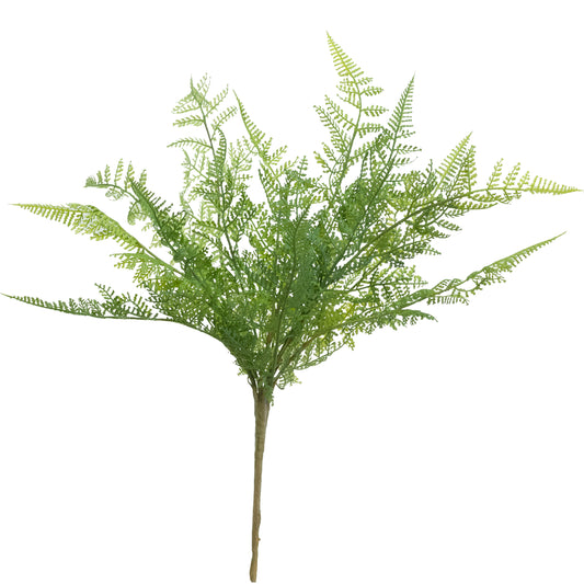 Leather Fern Bush with Twigs