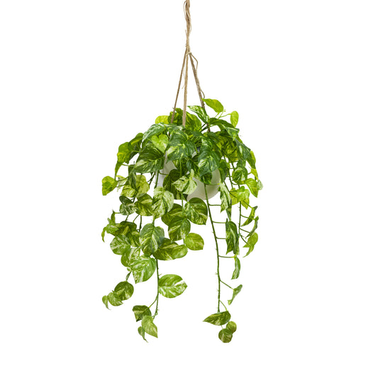 Glamorous Fusion Marble Pothos in Hanging Planter - Artificial Flower Arrangements and Artificial Plants