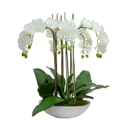 65cm Artificial Giant Phalaenopsis Orchid in Bowl