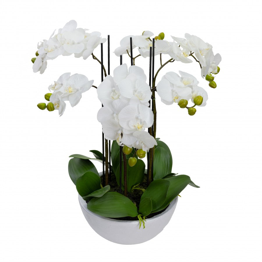 55cm Artificial Phalaenopsis Orchid in White Pot