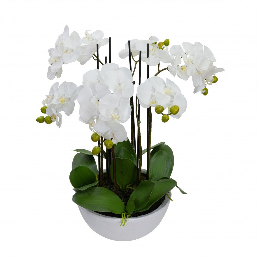 55cm Artificial Phalaenopsis Orchid in White Pot