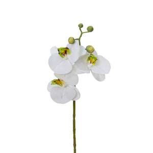 Open image in slideshow, 38CM PHAL ORCHID SPRAY X 3
