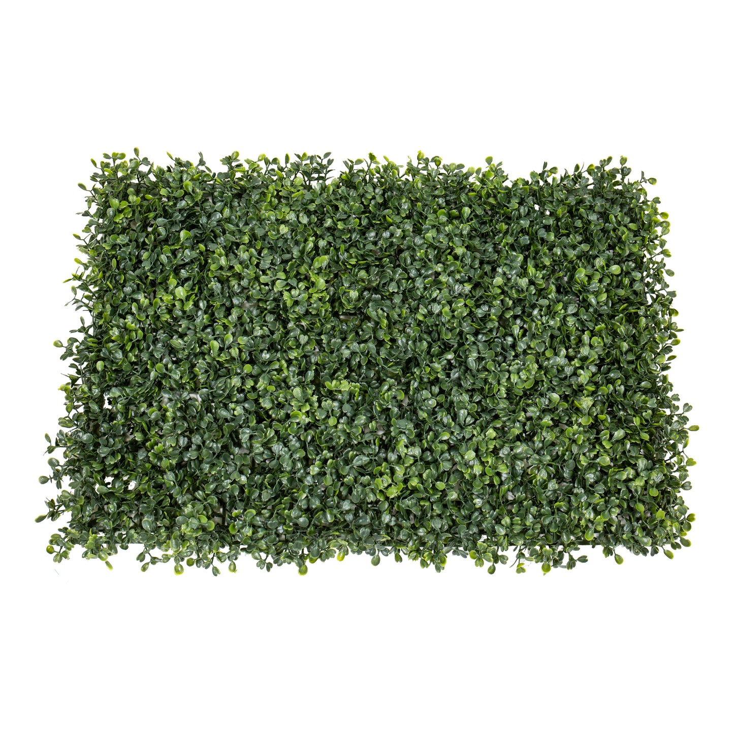 6 Pieces Boxwood Mat