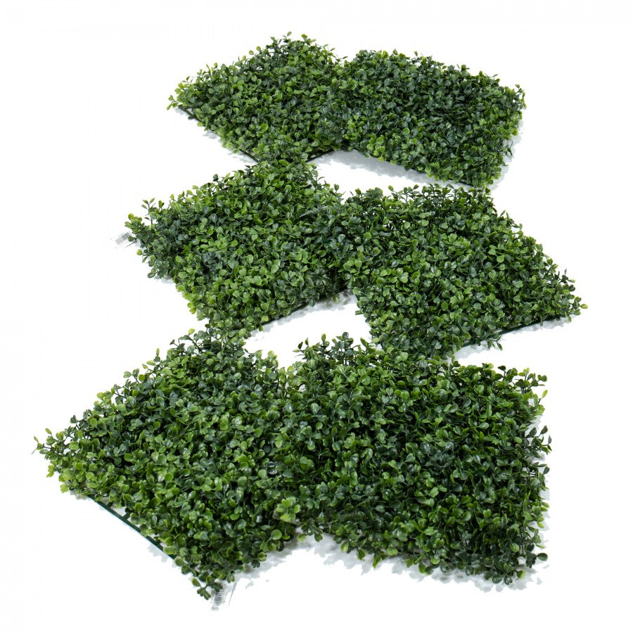 6 Pieces Boxwood Mat