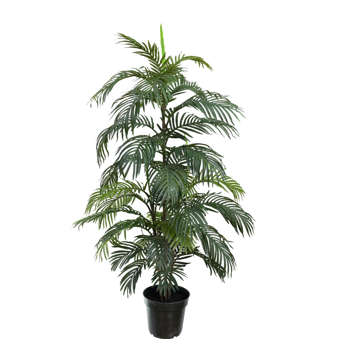 Glamorous Fusion 150cm Areca Palm Tree - Artificial Flower Arrangements and Artificial Plants